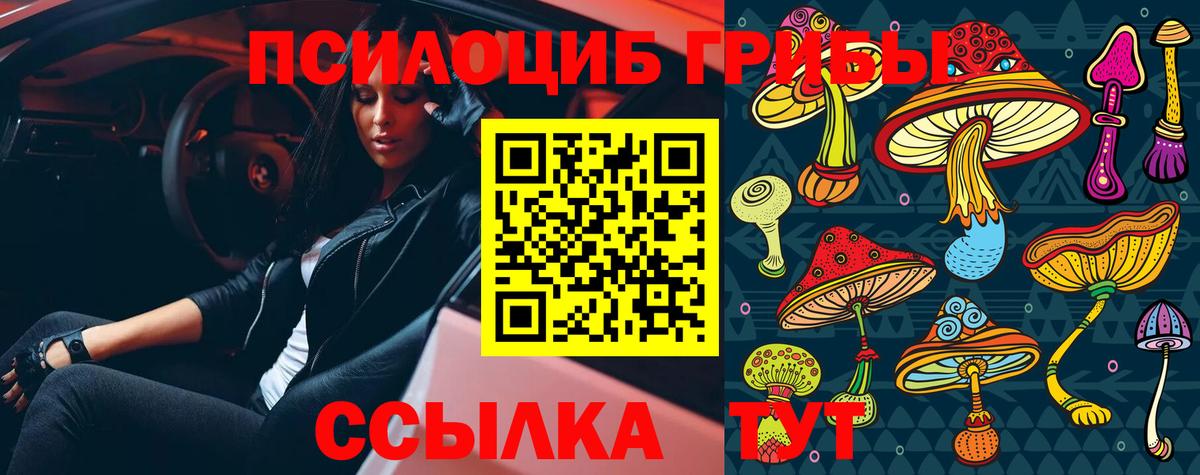 Петрозаводск  Галлюциногенные грибы мухоморы  дарнет шоп  Вход с VPN 