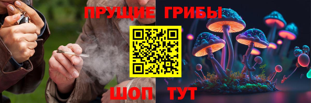 Галлюциногенные грибы GOLDEN TEACHER Петрозаводск